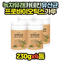 카테킨 녹차 유래 유산균 프로바이오틱스 파우더 x4통 식물성 김치 플란타 람노스 50대 60대 패밀리 효능