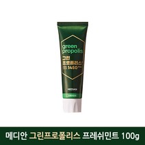 메디안 프로폴리스향 홀패밀리 치약 프레쉬민트 100g, 1개