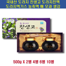 고이담은 도라지진생고500gx2병세트 + 보자기 + 사은품(천연 모기퇴치기) 국내산 도라지 진생고 엑기스 즙 농축액 배 모과 생강 환절기 목건강 설 추석 어버이날 선물세트, 6병, 500g