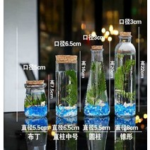 안시롱핀 소형 열대어 쉬림프 초보자 어항, 원통형 금모래 물고기 모형