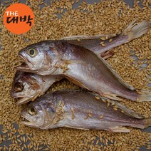 침조기 제수용 긴가이석태 반건조 생선 손질 보리굴비 민어조기, 침조기 보리굴비(중), 5마리x1두릅