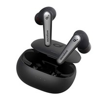 앤커 사운드코어 Liberty Air2 Pro 블루투스 무선 이어폰 음향기기 IPX4, 검은색(검은색 19 - 3911 tcx )