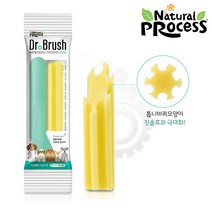 네츄럴프로세스 닥터브러쉬 유산균껌 30P /강아지껌 개껌