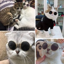 안경 도글라스 선글라스 냥글라스 고양이 강아지 용품, 옐로우