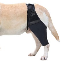 강아지 다리보호대 슬개골 탈구 보호대 관절보호대 보조기 무릎 dog support brace for right left leg hock joint wrap wrap 19, m