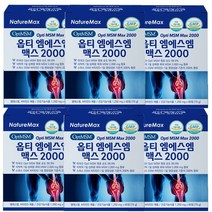 옵티 MSM 엠에스엠 맥스2000 60정 6통
