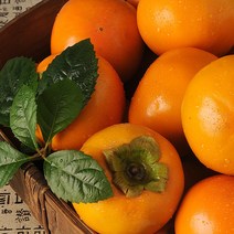 이베따 단감 10kg(61-70과)