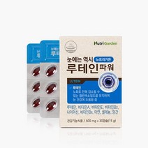 뉴트리가든 루테인 60일분 눈 영양제 어린이 청소년 키즈 노안 영양제 선물 남자 여자 비타민 눈건강, 2개 60일분