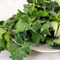 [더조은푸드] 여수 달큰 쌉싸라한 방풍나물 (옵션선택), 1박스, 1kg