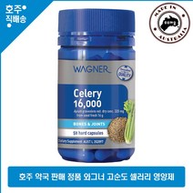호주 직구 와그너 요산 제거 배출 고순도 셀러리 영양제 16000mg 50캡슐, 1개