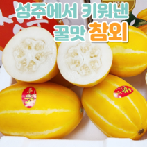 성주참외 제철 달달 못난이 참외 정품 대과, 못난이 흠집 중대과 1.5kg 3~5과