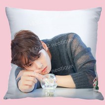 차은추 쿠션 베개 굿즈 아스트로 소품, 부드러운 양털 (베개 포함), 24