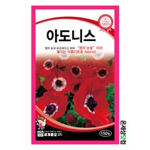 아도니스 150립/ 꽃씨 화단 꽃밭 정원 베란다텃밭 복수초씨앗 야생화씨앗