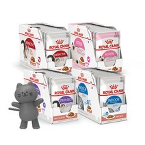 로얄캐닌 캣 파우치 85gx12개 4종, 03.스테럴라이즈드 85gx12개