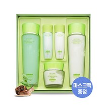 3W CLINIC 스네일 모이스트 3종세트 여자 기초화장품 스킨케어세트 여성스킨로션 화장품 선물세트 주름개선 기능성화장품 보습 영양 탄력 링클케어 안티에이징 홈케어 피부관리, 1개