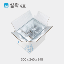 설곽 종이 아이스박스 4호 20개입, 20개