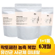 락토페린 농축 복합 분말 레몬밤 그린커피 아미노산 람노서스 종합유산균 말티톨 남성 40대 가족 50대 남녀노소 부모님 시부모님 파우더 추천 졸업 취업 부부 입학 신랑 성장