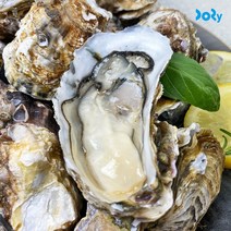 도리마켓 여수 굴 석화 5kg 통 각굴 생굴, 단품