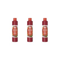 HELA 헬라 커리 스파이스 케첩 800ml 3팩