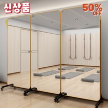 CYE 이동식 전신거울 대형 이동형 가정용 전신거울 1000 완벽검수제품, 다른, 미러 225 x 120만 개의 범