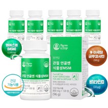 60대 무릎관절 연골 식물성 MSM 식이유황 120정X6통 글루코사민 비타민D 초록홍합 상어연골 엔 보스웰리아 콜라겐