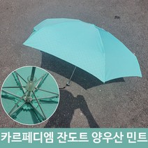 우산겸 미니 장화 무늬 카르페디엠 우비 양산 MI 도트 모자 골프우산 5단