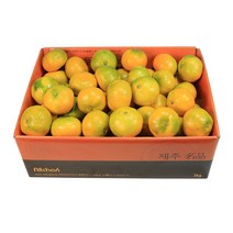 삼다몰 제주 노지 감귤 선물세트 5kg 10kg, 1박스, 노지 감귤 중과 5kg M~L(41~60과 내외)