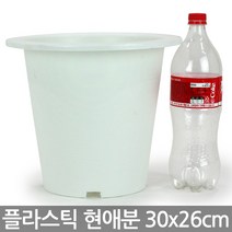 플라스틱 현애분 6~9호 - 화이트 베란다화분 화분 꽃화분 대형화분 플라스틱화분 검정화분 블랙 화이트 흰색 파란화분, 08_한성_현애분 화이트(9호)