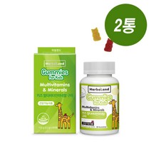 허벌랜드 키즈 멀티비타민미네랄 구미젤리 60개입 2개