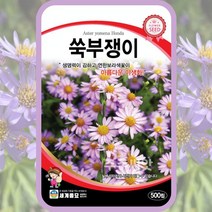 쑥부쟁이 씨앗 500립 꽃씨 아스타 야생화 종자 권영초 설상화 aster yomena, 단품