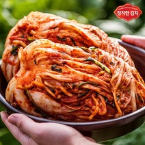 정직한밥상 [정직한밥상] 국내산 정직한 포기김치 2kg 외 7종, 04.정직한 겉절이 2kg