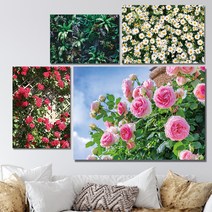 화사한 꽃 그림액자 시리즈, 08 핑크 뮬리, 알루미늄 화이트+500x700mm 사이즈