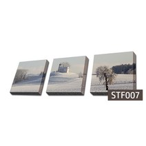 사진 한장을 액자 3개로 만든 3분할 캔버스액자, STF007