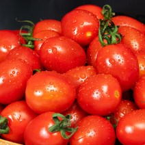 전남 국내산 대추방울토마토 2-5kg (2~4번과), 03_대추방울토마토 2kg2번(대과)