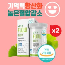 올인원 코큐텐 Q10 은행잎추출물 60정x2 리보스 중년여성 남성 코큐텐추천 아티초크 리보스 병풀추출물 주석산수소콜린 L카르니틴 함유