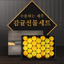 참다올 [참다올] 명품 제주 하우스 감귤 3kg(30과 내외), 단품