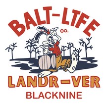 BALT LTFE 열전사지 필름 티셔츠 에코백 패치, BALT LTFE 전사지