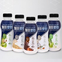 프리미엄 웰프로틴 단백질 헬스보충제, 1병, 03.초코