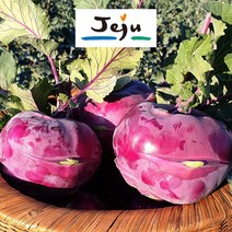 [청년농부] 제주 햇 콜라비 고당도 최상품 산지직송 아삭달달, 제주청년농부 콜라비 최상품 10kg