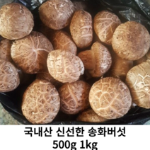 국내산 신선한 송화버섯 500g 1kg 국산 송화버섯 송고버섯 실속형 송화고 생 버섯 산지직송
