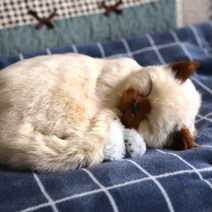 크리에잇투 숨쉬는 인형 고양이 랙돌