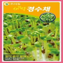 새싹씨앗 새싹경수채 씨앗 12g