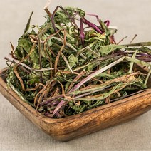 어성초 100g 국내산 약초 10종 모음, 08_16HA_국산 민들레(포공영) 100g