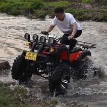 사발이 4륜오토바이 산악 농업용 오프로드 바이크, 블루 오토바이 - 125cc