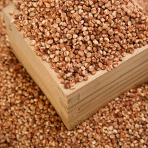 [KT알파쇼핑][디자인농부] 찰수수 500g