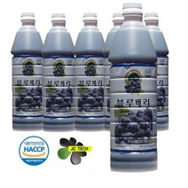 프리미엄 블루베리청 청정지역에서 자란 국내산 블루베리 !! 5병 당일발송!, 835ml