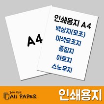올페이퍼 인쇄용지 A4 백상지 모조지 아트지 스노우지 중질지 중절지, 미색모조지_100g_A4_250매, 1개입