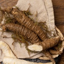 농협 [정선농협] 강원 정선 더덕세트 1.4kg(대/개당60g이상), 1