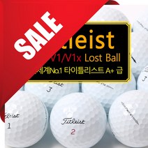 중고골프공 타이틀리스트 로스트볼 PROV1 V1X AVX 혼합 화이트 A+등급, 20알