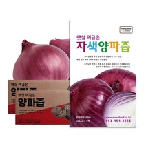 [아기다람쥐] 햇살머금은 자색양파즙(100ml x 100팩), 100ml, 100팩